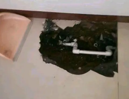 民权卫生间测漏水多少钱